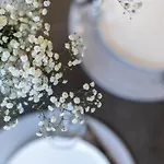 Vila Sakalo Kopa Palanga