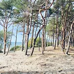 Sakalo Kopa *