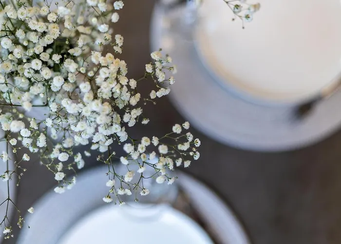 别墅 Sakalo Kopa 帕兰加